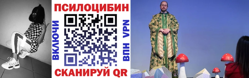 как найти закладки  Азнакаево  Псилоцибиновые грибы Cubensis 